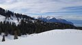 20250125_131437.jpg