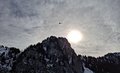 20250125_131501.jpg