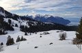 20250125_141052.jpg