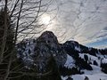 20250125_141057.jpg