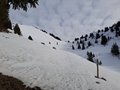 20250125_141527.jpg