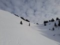 20250125_142143.jpg