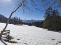 20250205_125215.jpg