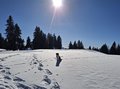 20250205_134136.jpg