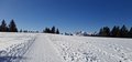 20250205_134237.jpg