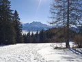 20250205_134548.jpg