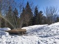 20250205_141509.jpg