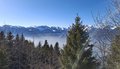 20250205_141642.jpg
