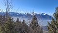 20250205_141700.jpg