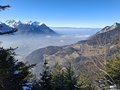 20250205_142634.jpg