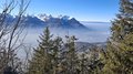20250205_142847.jpg
