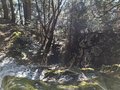 20250205_143012.jpg