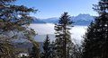 20250205_143448.jpg