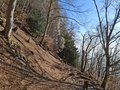 20250205_152537.jpg