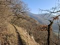 20250205_160123.jpg