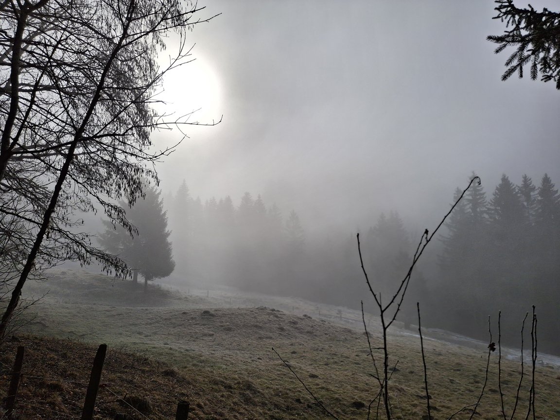 20250218_103804.jpg