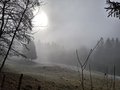 20250218_103804.jpg