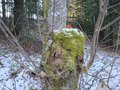 20250218_105420.jpg