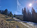 20250218_110542.jpg