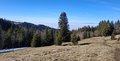 20250218_112337.jpg