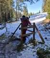 20250218_113819.jpg