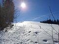 20250218_115011.jpg