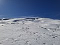 20250218_115806.jpg