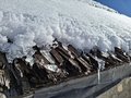 20250218_124559.jpg