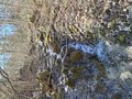 20250305_120451.jpg