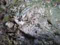 20250305_121053.jpg