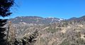 20250305_125500.jpg