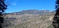 20250305_125606.jpg
