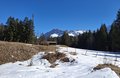 20250305_131018.jpg