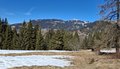 20250305_131050.jpg