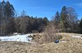 20250305_133340.jpg