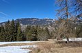 20250305_133357.jpg