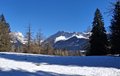 20250305_134502.jpg