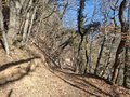 20250305_152049.jpg