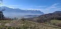 20250305_153035.jpg