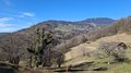 20250305_153441.jpg