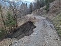 20250309_095605.jpg