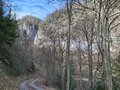 20250309_095718.jpg