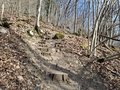 20250309_100403.jpg