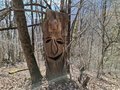 20250309_100410.jpg