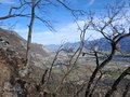 20250309_101352.jpg