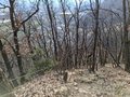 20250309_101402.jpg