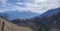 20250309_105245.jpg