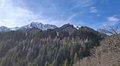 20250309_105248.jpg