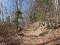20250309_110529.jpg