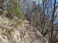 20250309_111246.jpg